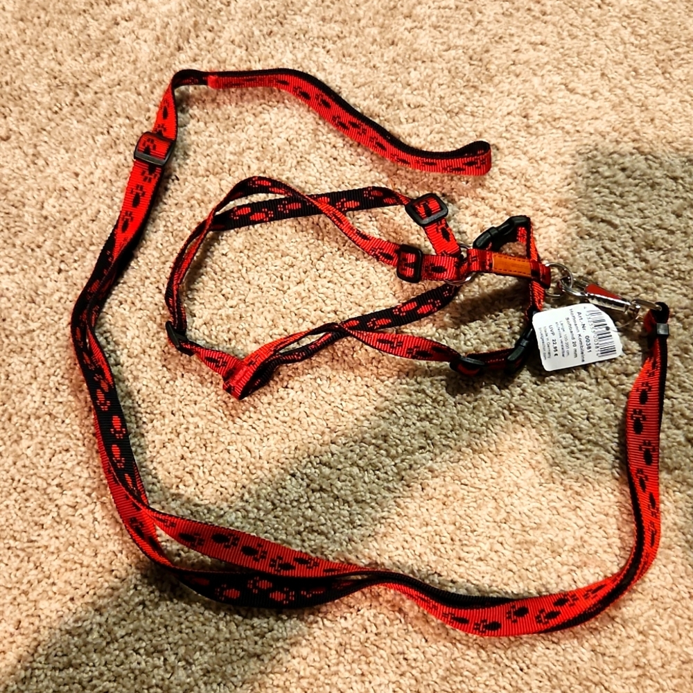 Dog harness and matching leash
